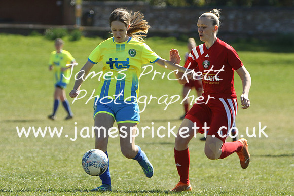 7D119797